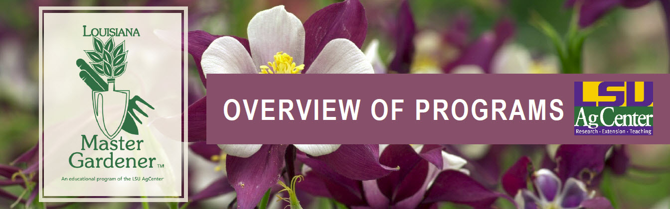 Overview of Programs - Plaquemines & St. Bernard 